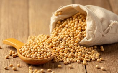 recette pois chiches