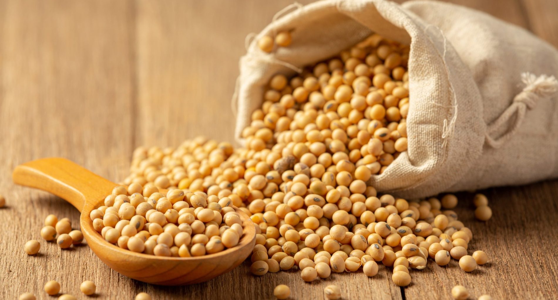 recette pois chiches