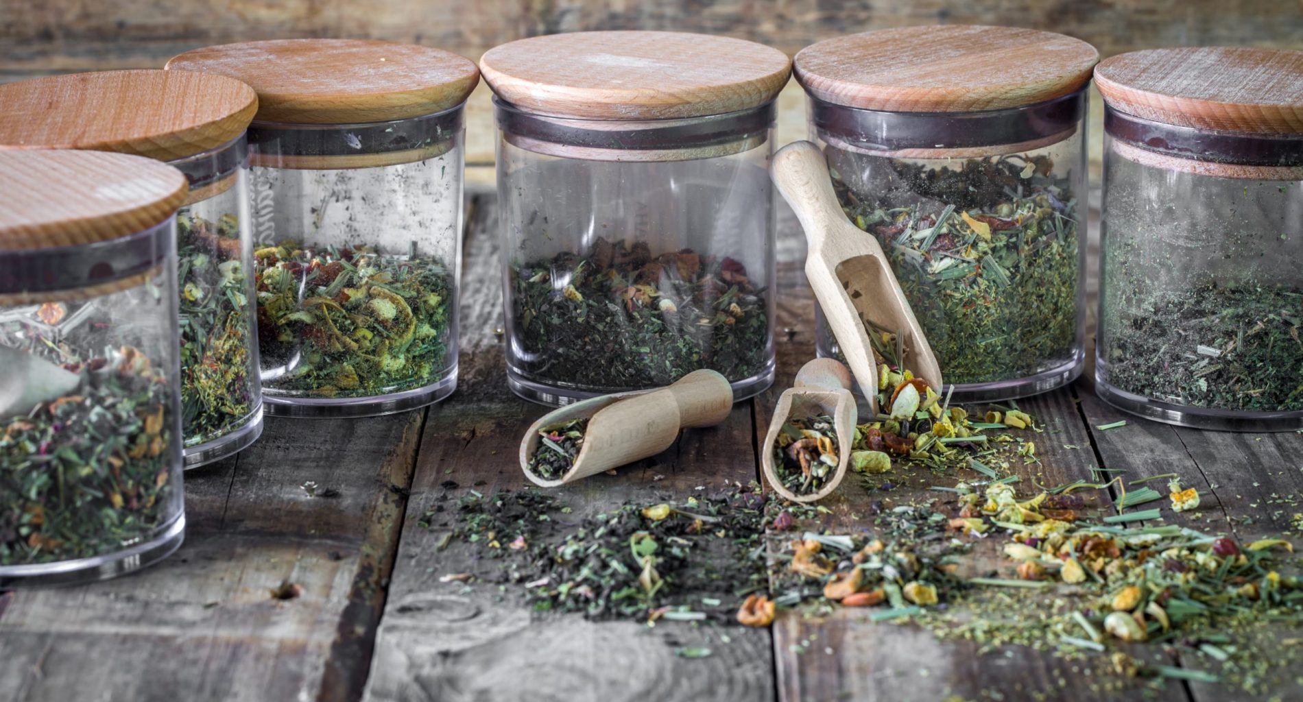 tisane plante sauvage